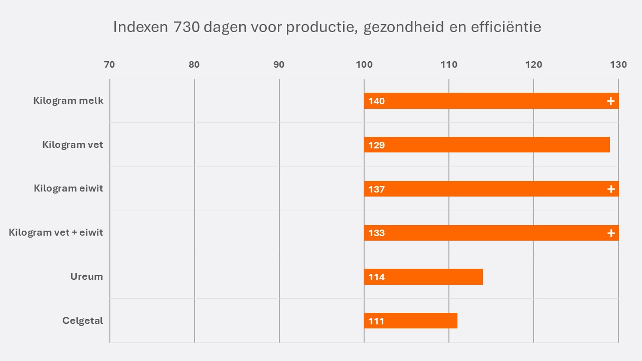 Jehannes NL