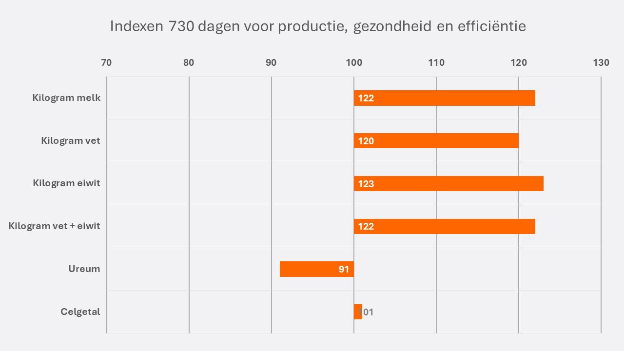 Martijn NL