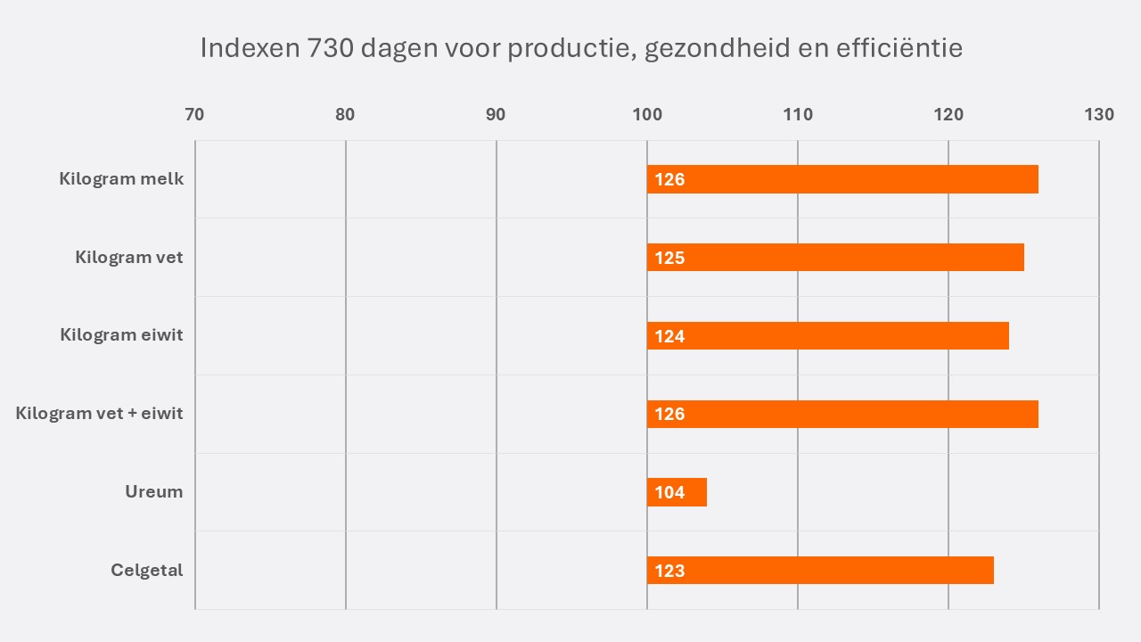 Cooper NL