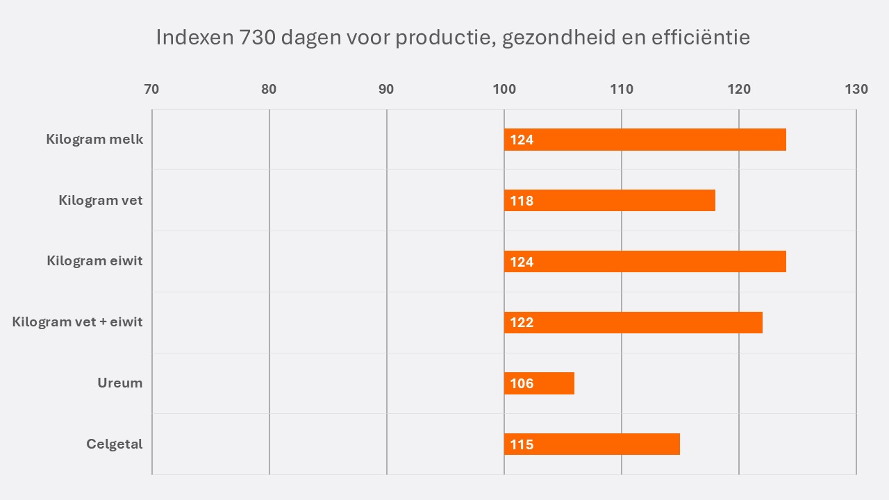 Ernst NL