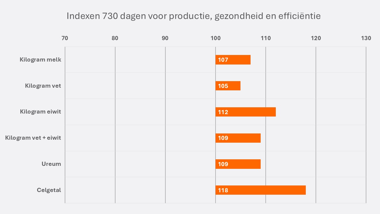 Gerwin NL