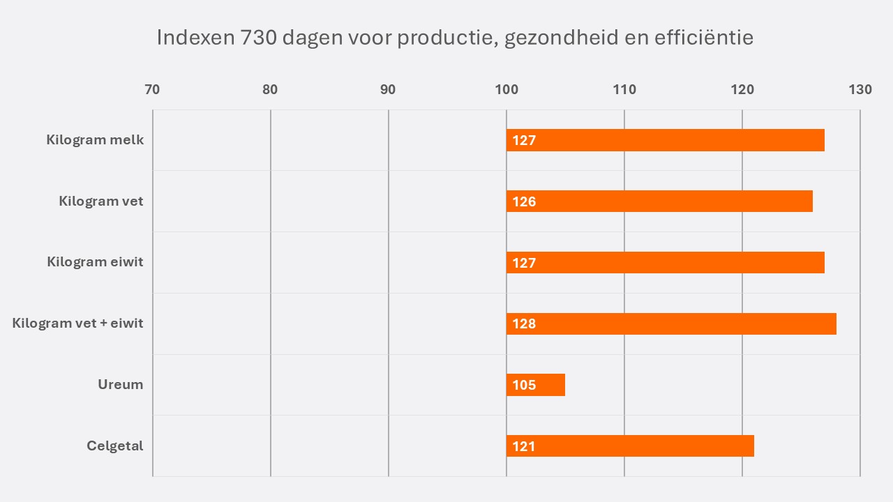Cooper NL