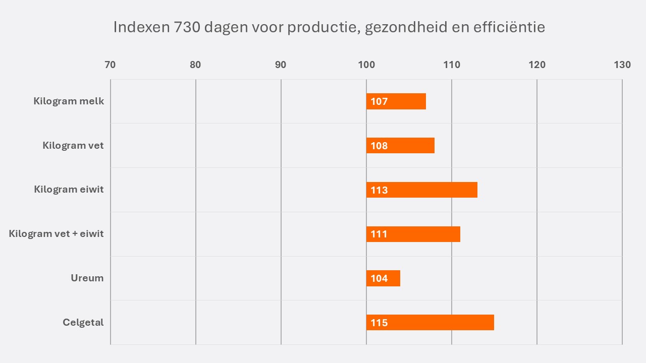Gerwin NL