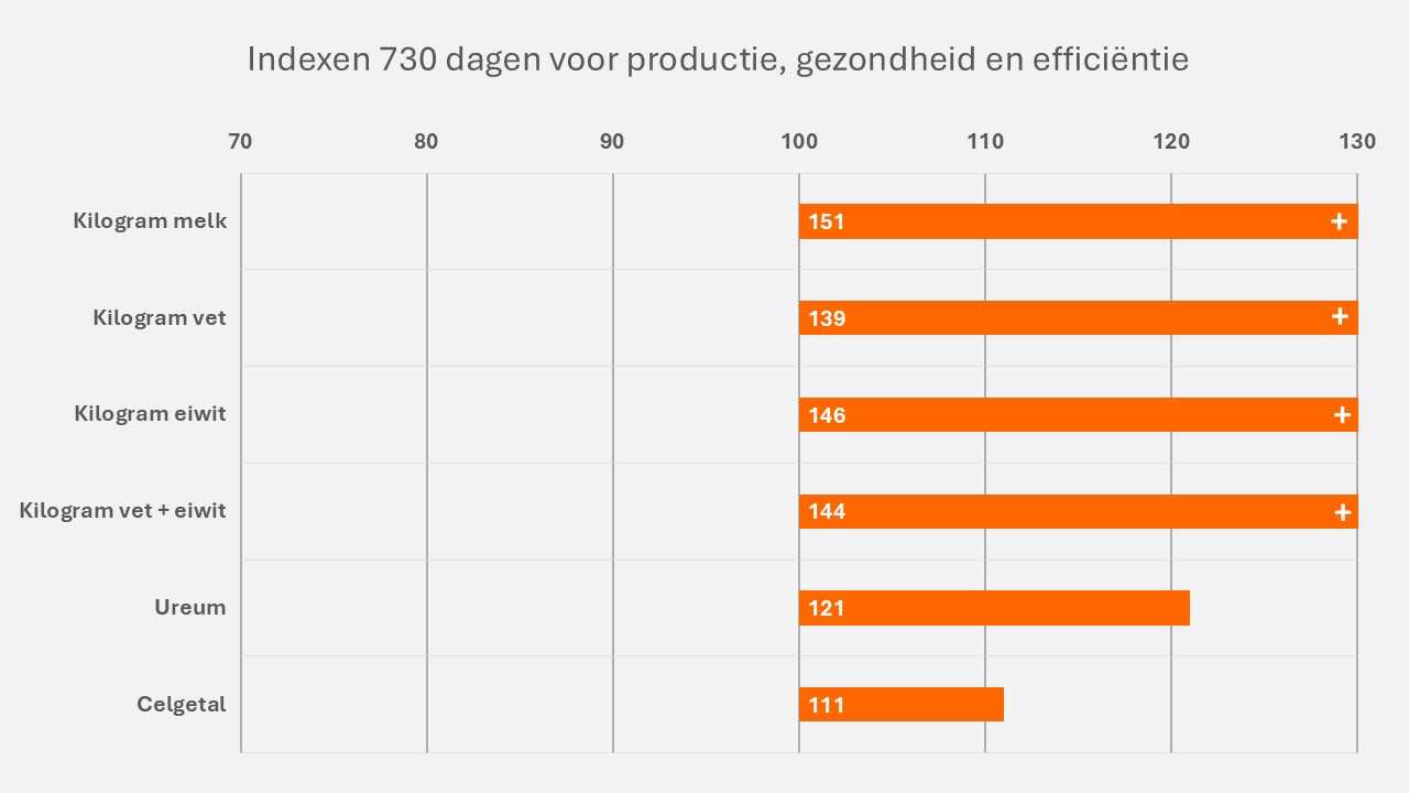 Jehan NL