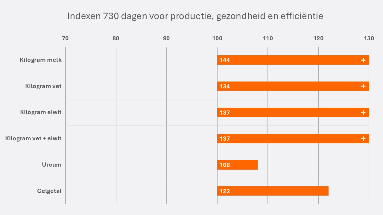 Jimte NL