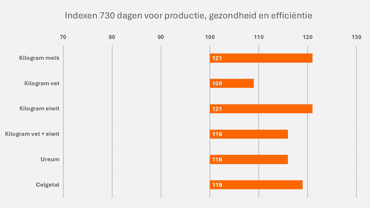 Murk NL